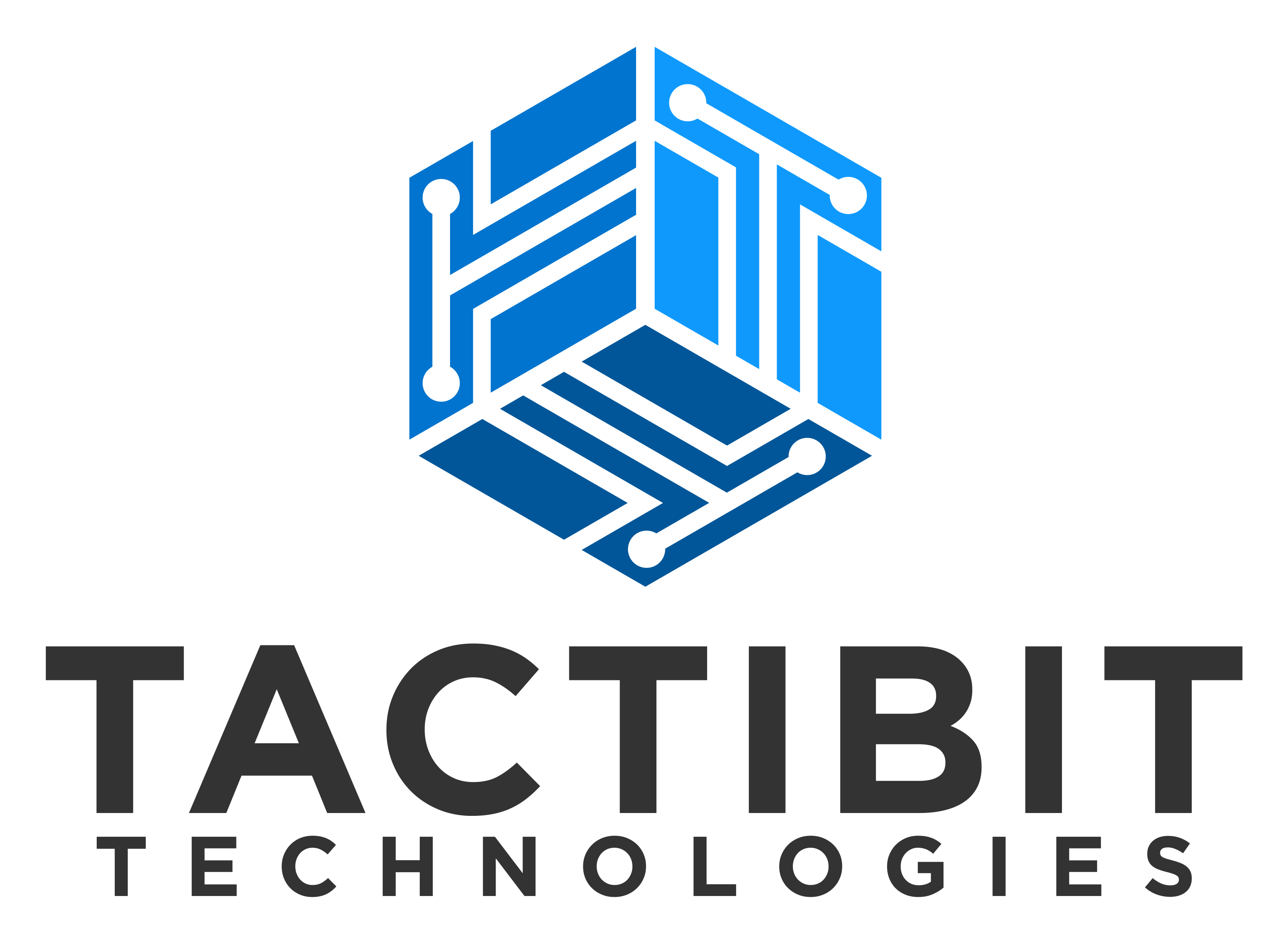 Tactibit
