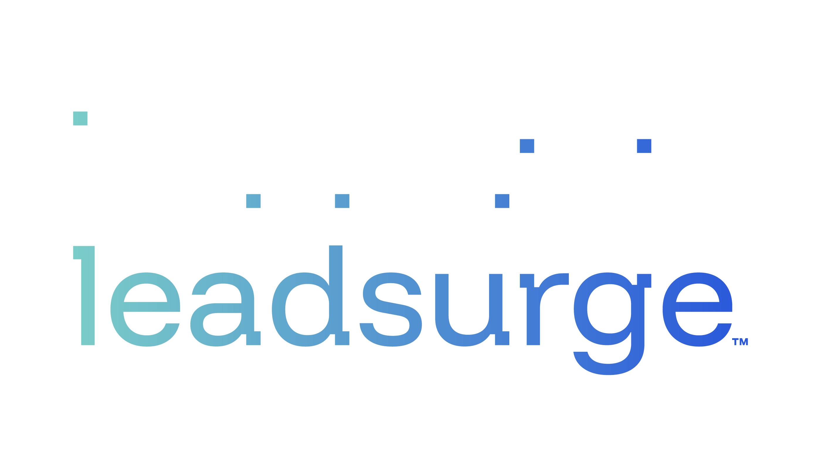 Lead Surge - Job Opening
