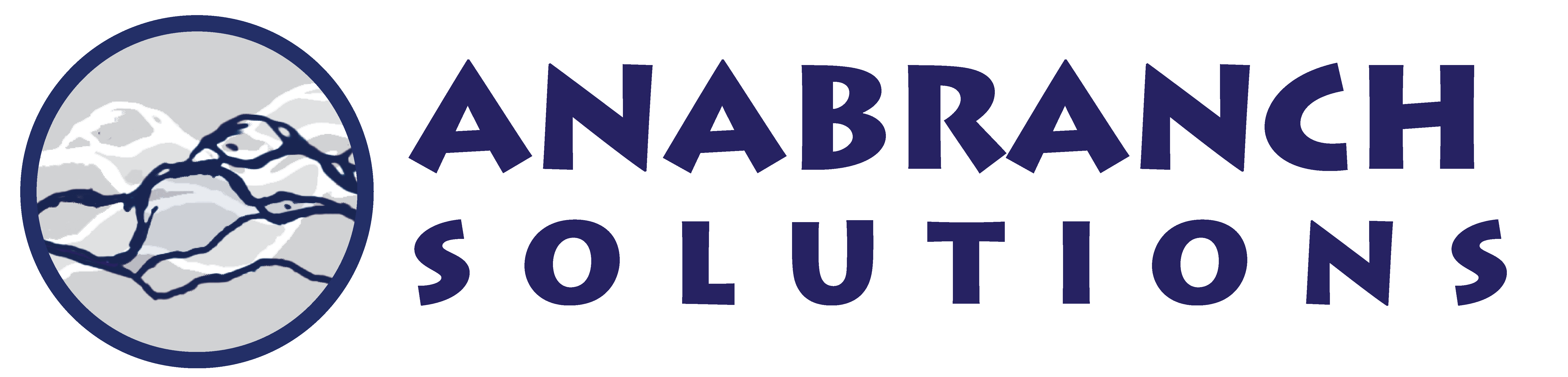 Anabranch Solutions, LLC