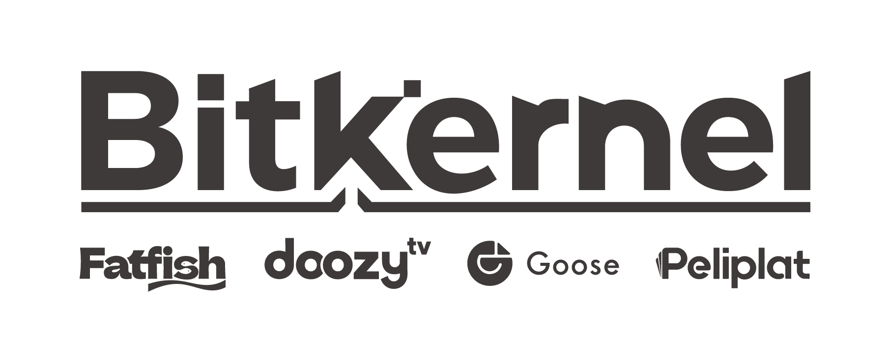 Bitkernel Technology Inc & Affiliated Companies