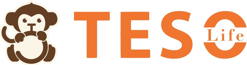 TESOLIFE US INC