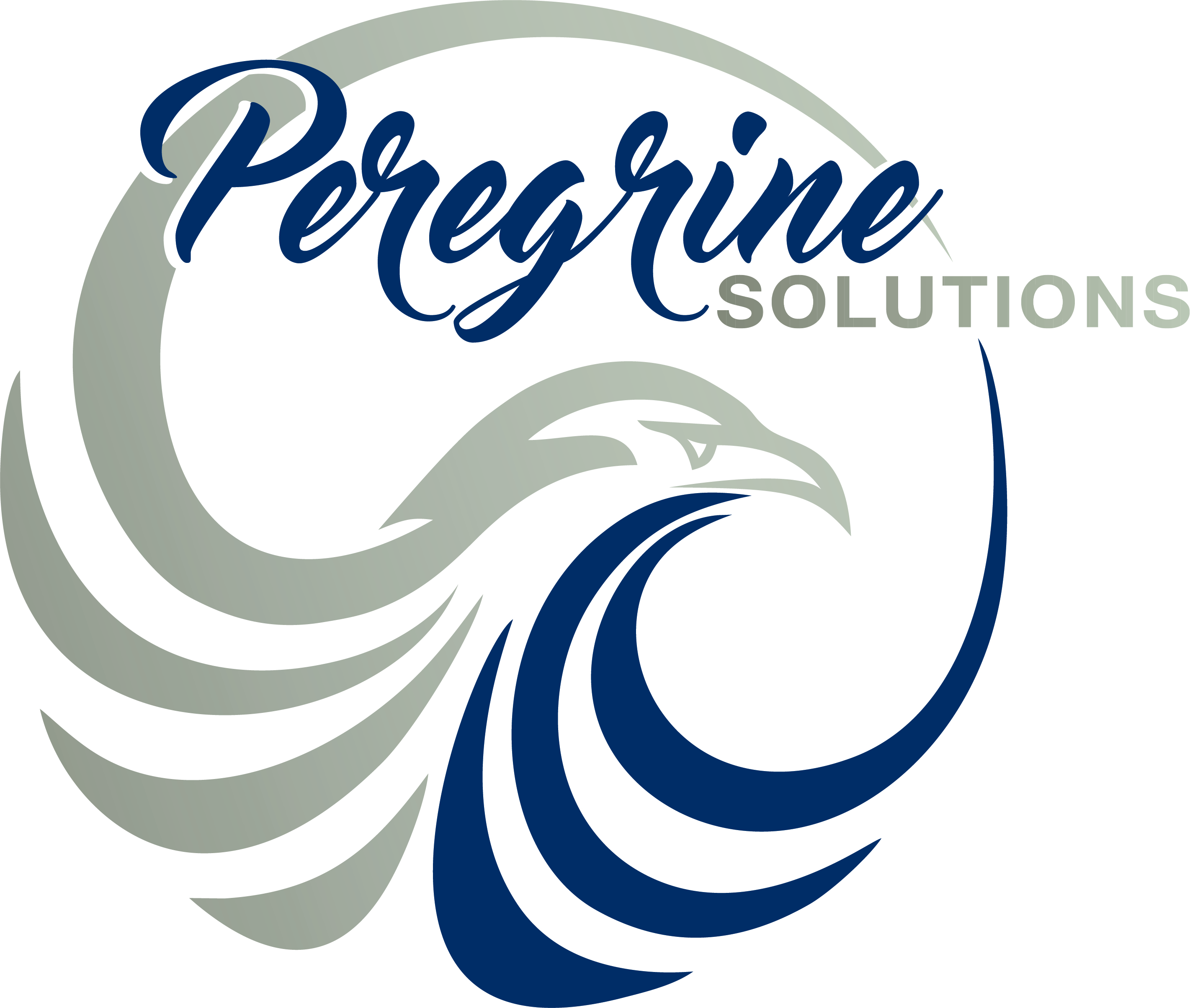 Peregrine Solutions, Inc.