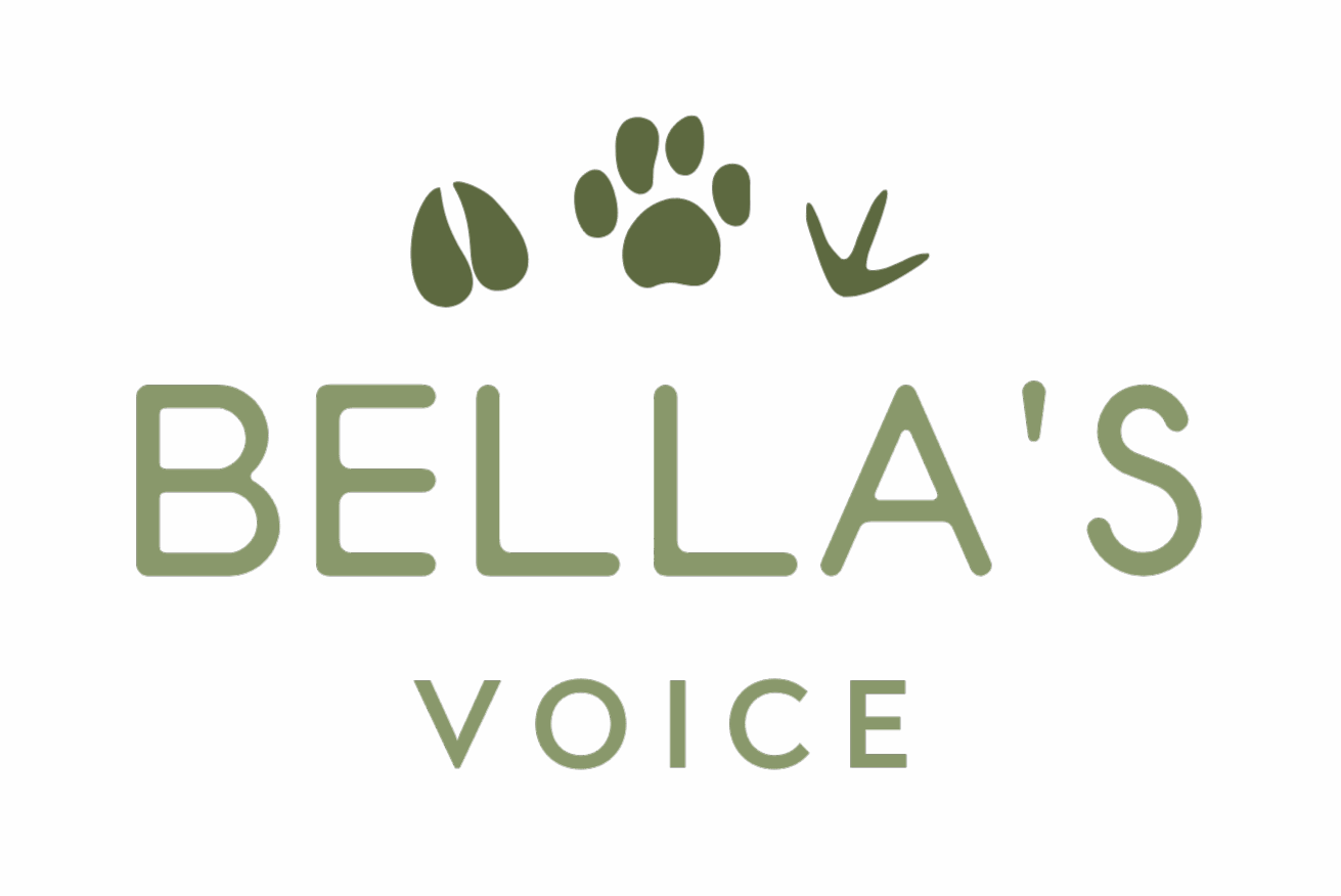Jobs at Bella's Voice