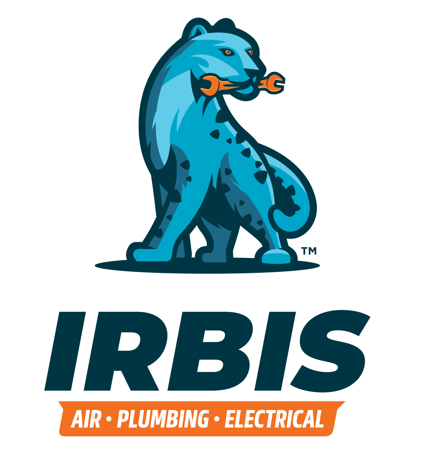 IRBIS HVAC INC DBA Air Plumbing
