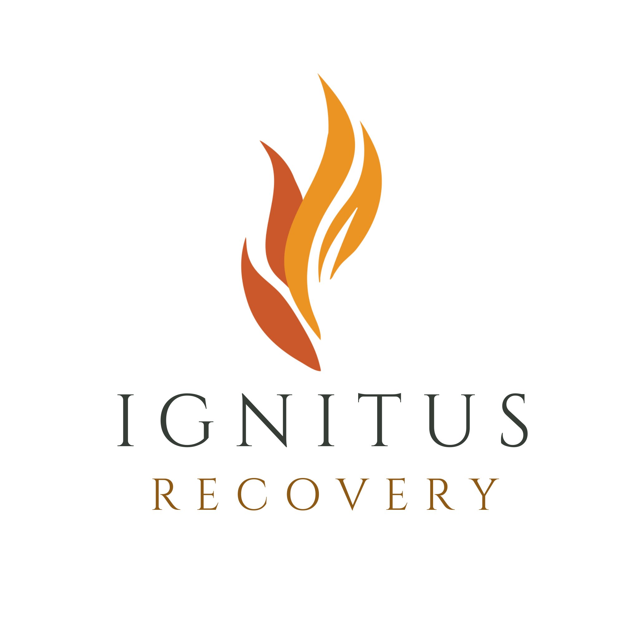Ignitus Recovery